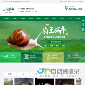 白玉蜗牛_新乡县七里营天河蜗牛养殖厂