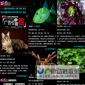 Sbike，识百客，动植物百科网，国内最专业的动物、宠物、植物、花卉科普信息分类、资料速查网站，足不出户的动植物乐园！